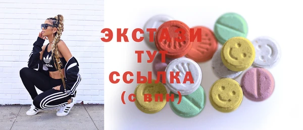 ECSTASY Каменка