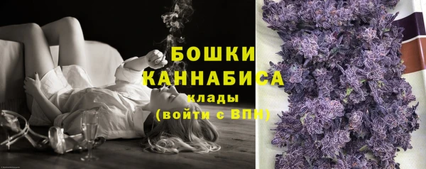 ECSTASY Каменка